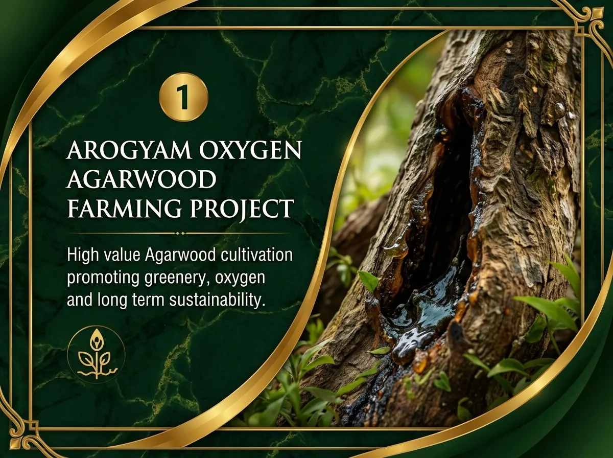 Agarwood Farming