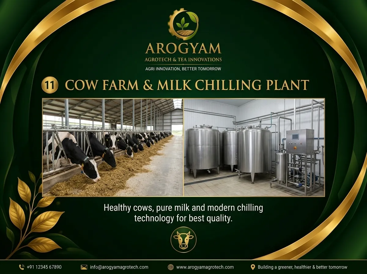 Cow Farm & Dairy
