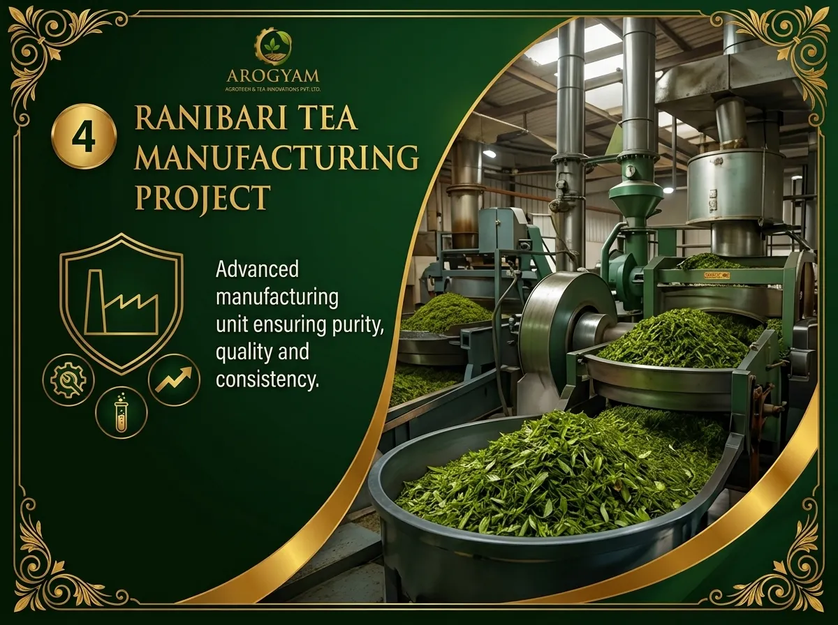 Tea Innovations